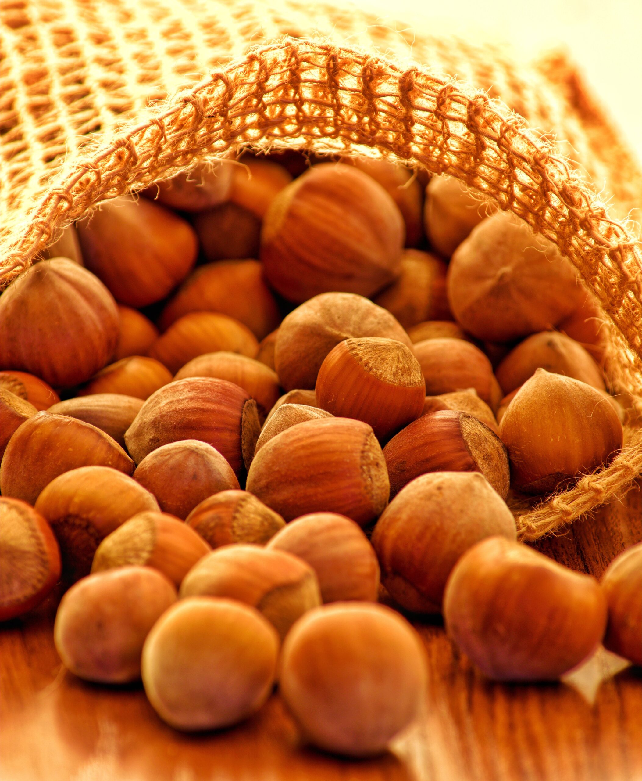 11082974-hazelnuts-4648122